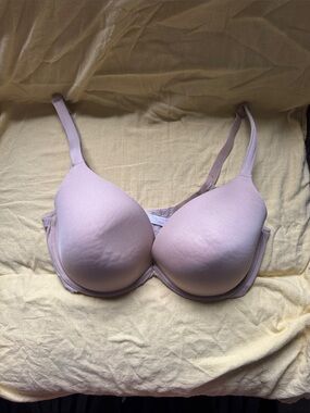 Cacique Blush Padded T-Shirt Bra